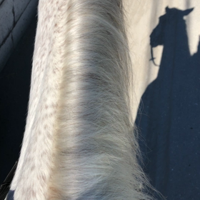 マグっぺもモコモコモコの画像