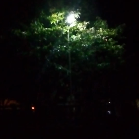 台風18号の画像