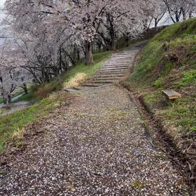 飲み忘れの画像