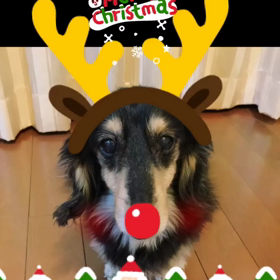 メリクリ〜の画像