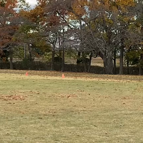 ミニ駅伝 第１レース⑦の画像