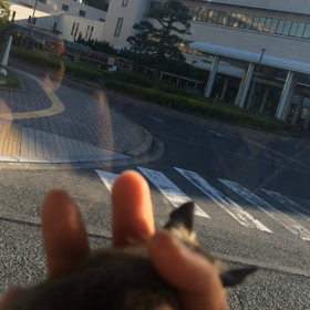 ドライブの画像