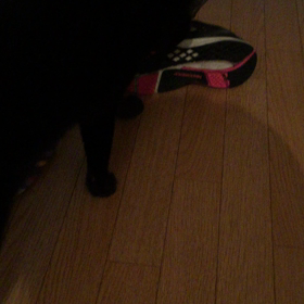 朝から闘い。の画像