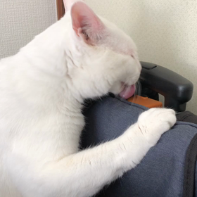 べつに   いいだろの画像