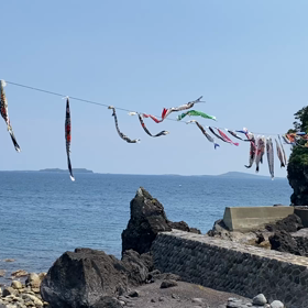 鯉のぼりの画像