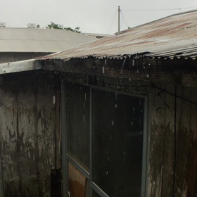 今日は朝から大雨。。。の画像