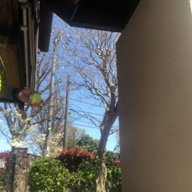 こんな練習もありかもの画像