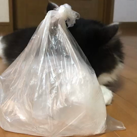 水分補給の画像