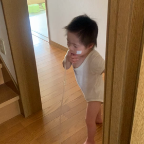 今日のつばちゃんの画像