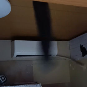 だ〜れだ？の画像