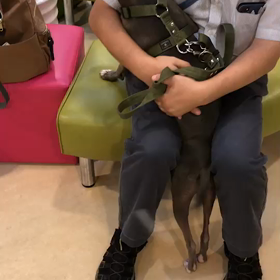 病院でしっぽフリフリの画像