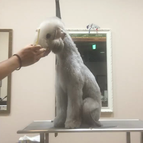 ▶︎ちょっと歯磨きの画像