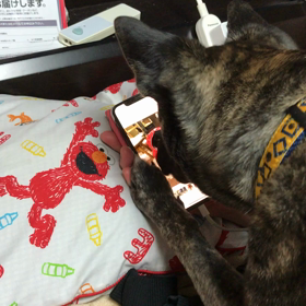 タップ&スライドの画像