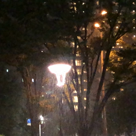 まさかの。の画像