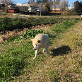 スマホが怖い…の画像