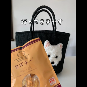 海の中道ピクニックの画像