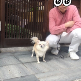 お散歩楽しいなーの画像