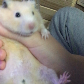 いつもはもっと！の画像