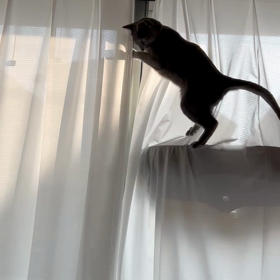 簡単投稿　ねるくん落ちたの画像