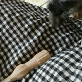 アイスをめぐる戦い！の画像