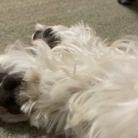 11/27 休憩中の画像