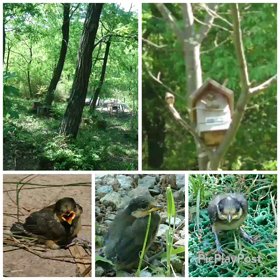 感動しました‼の画像