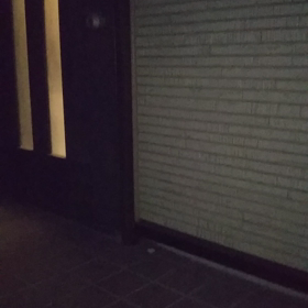 脱走癖が止まらないの巻の画像