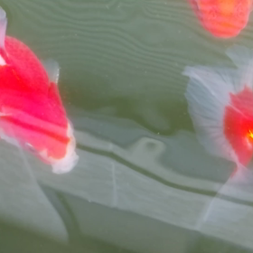 寒いですね…の画像