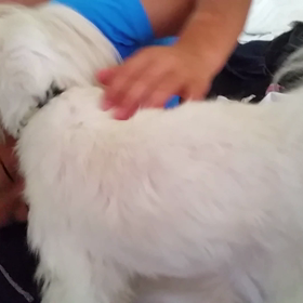 仲良しの2人の画像