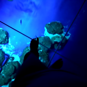 水族館の大水層に立ったの画像
