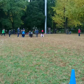 ダッシュ(白チーム)⑤の画像