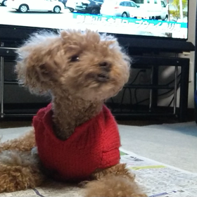 めいちゃん怒ってる〰の画像