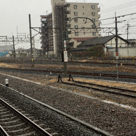 この時期になって……の画像