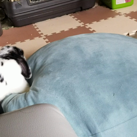 働きたくないなぁの画像