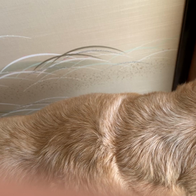 よものおやつは、元に戻せそうだじょの画像