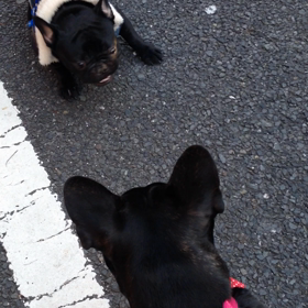 とも。。の画像