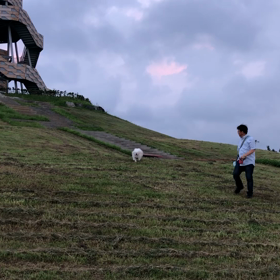 でた〜9秒台？の画像