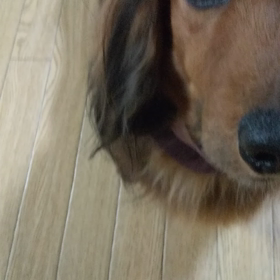 帰宅～。の画像