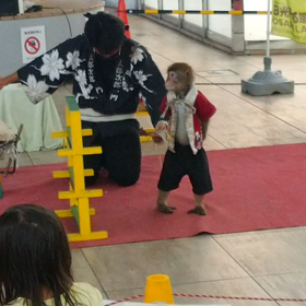 2022 5.29 日曜日！の画像