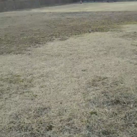 初荷は寝て待て★の画像