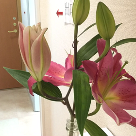 ユリの開花動画の画像