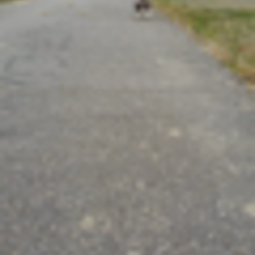 また動画♪(*^^*)♪の画像