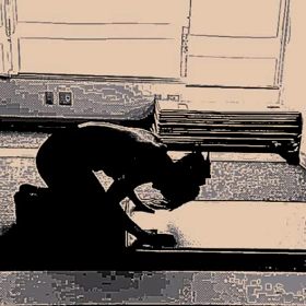 今日のエクササイズの画像