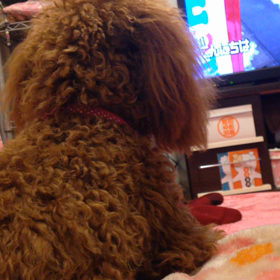 うなり続けてます…の画像