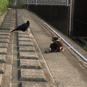 癌の発症率は上がったのか？の画像