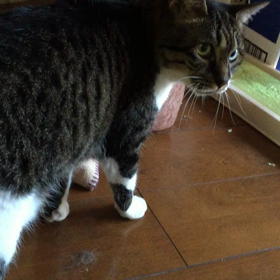 起きないかぁ〜の画像