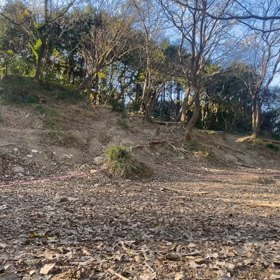 上級チャレンジの画像