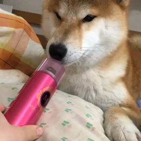 雨の日はベッドでまったりの画像