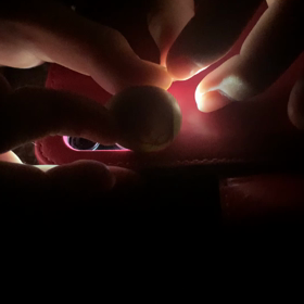 うずら孵化チャレンジ〜その②−4〜の画像