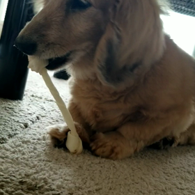 陰性でした。の画像